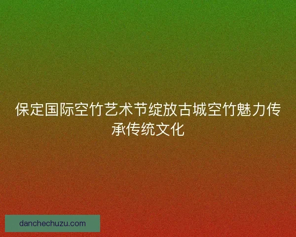 保定国际空竹艺术节绽放古城空竹魅力传承传统文化